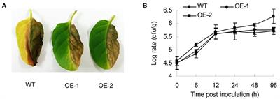 AtMYB12-Expressing Transgenic Tobacco Increases Resistance to Several Phytopathogens and Aphids